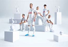 开云官方网站在线登陆-托特纳姆训练开放日，关键时刻迎来里程碑引欢呼，意大利杯在即，资深球员宣示担当