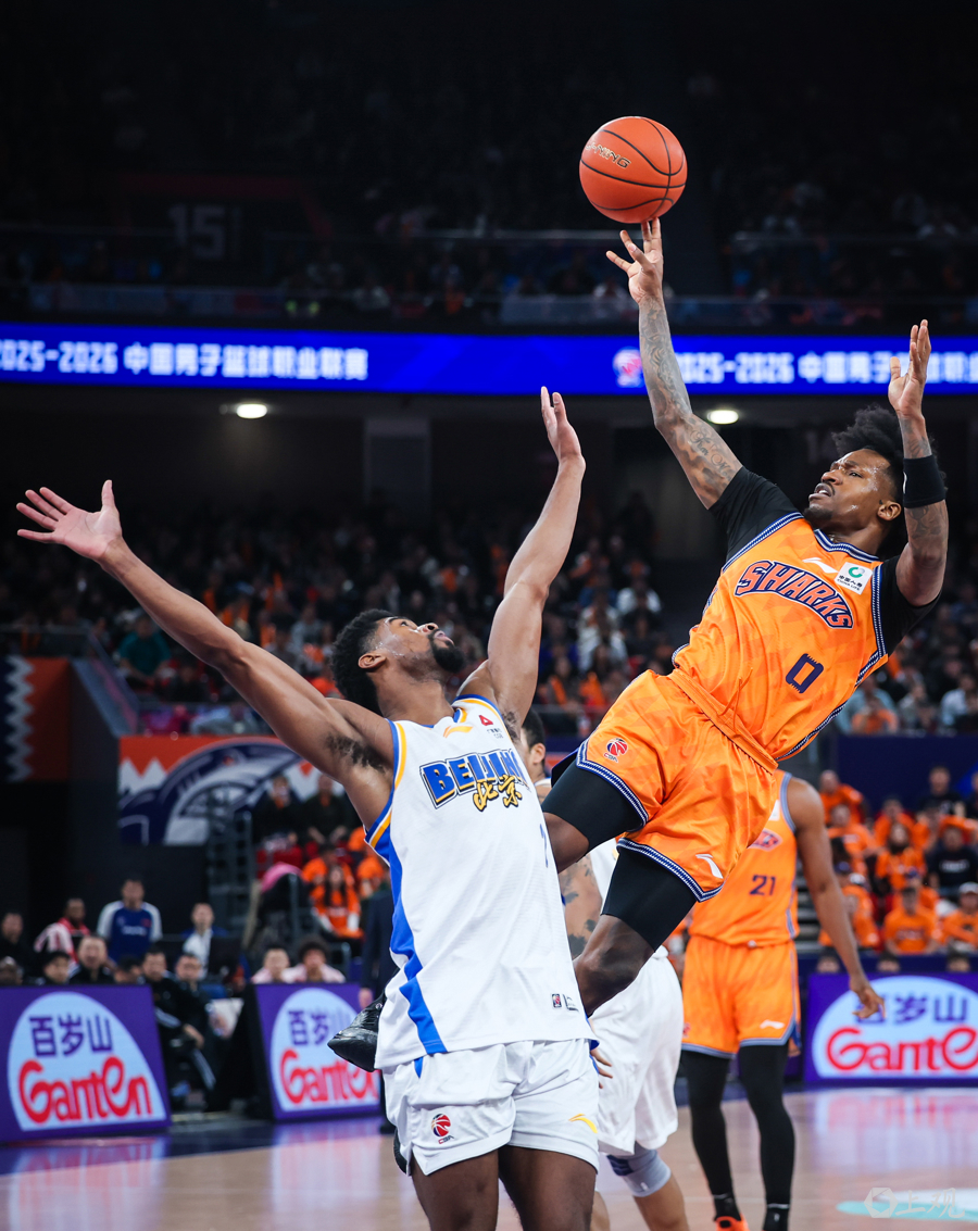 英超焦点对决伊普斯维奇vs纽卡斯尔联