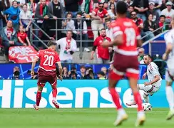 上海海港队引援最新消息