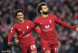 底特律活塞队总冠军